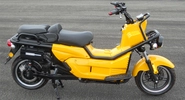 100/zev-t10.jpg